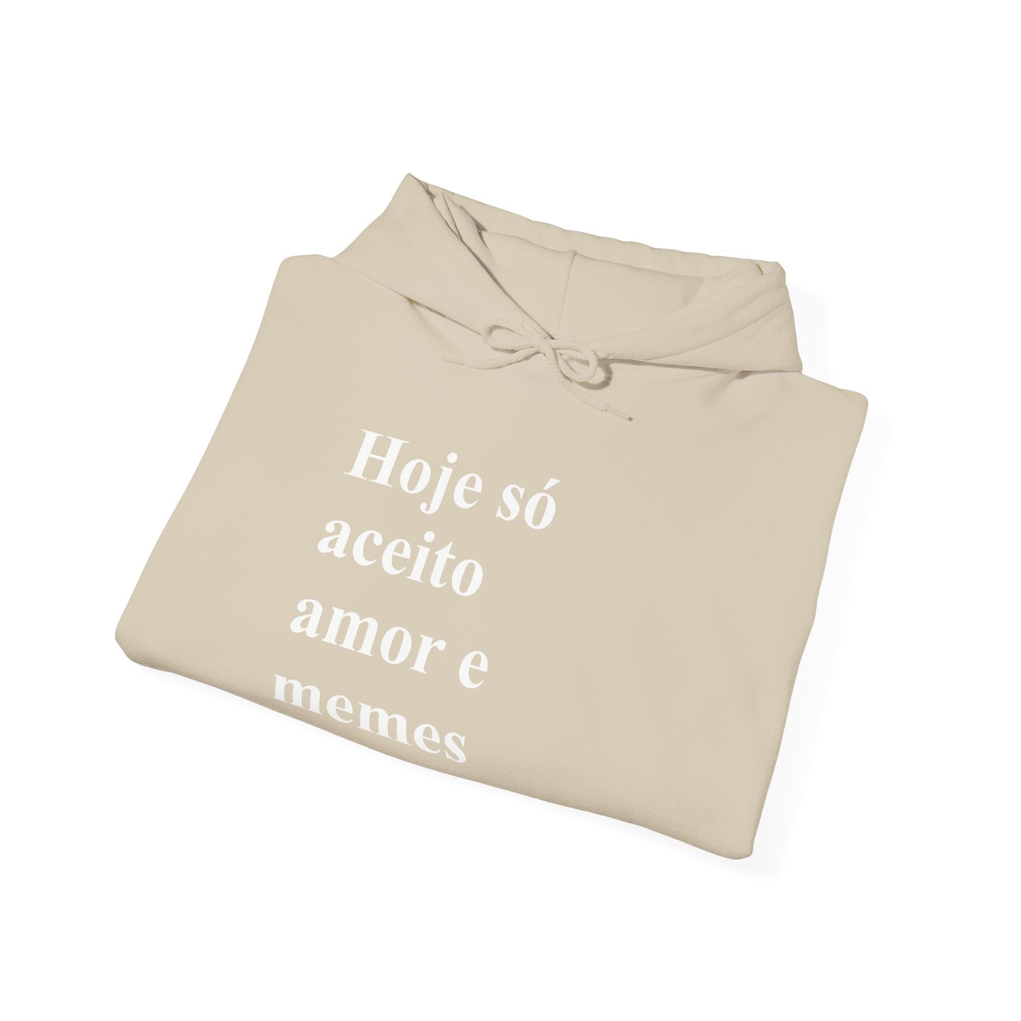 Hoje Só Aceito Amor e Memes Hoodie | Brazilian Meme Sweatshirt | Funny Portuguese Quote | Gift for Brasileiras Abroad