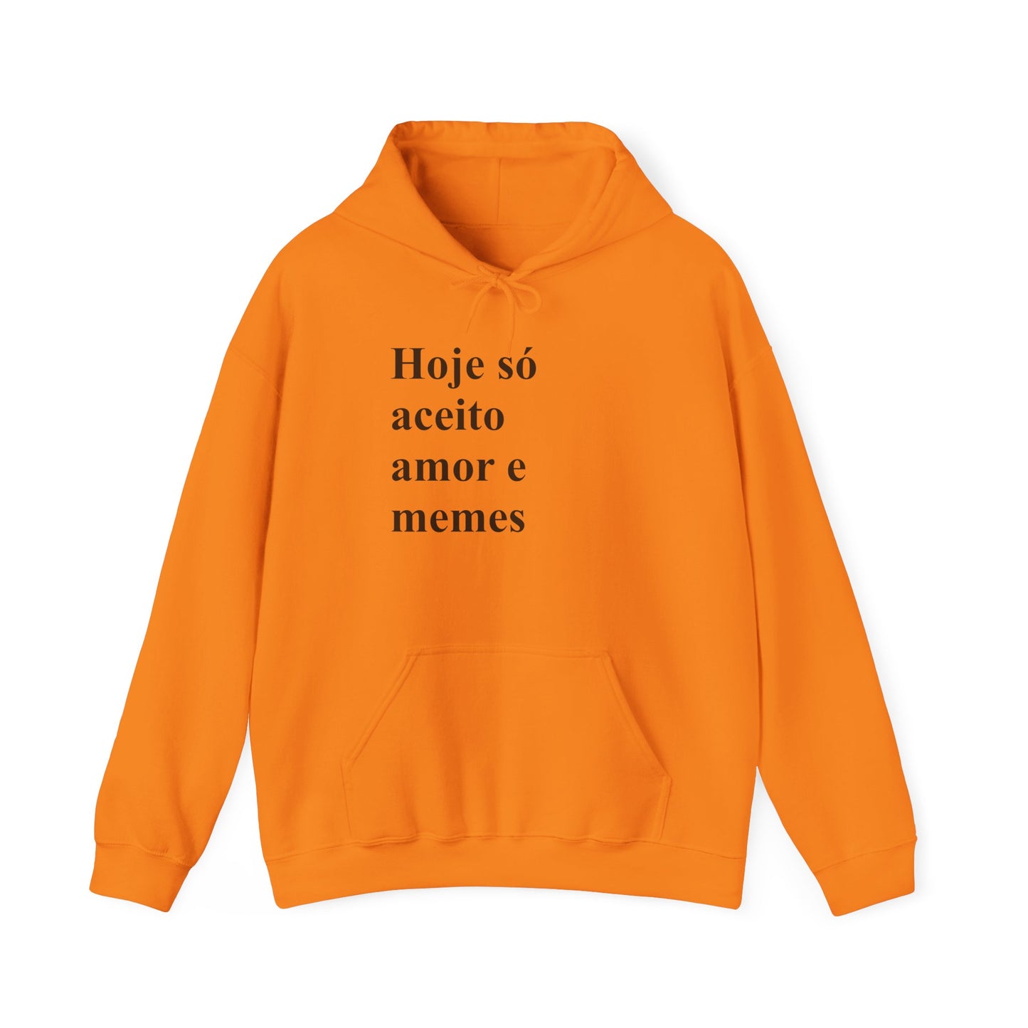 Hoje Só Aceito Amor e Memes Hoodie | Brazilian Meme Sweatshirt | Funny Portuguese Quote | Gift for Brasileiras Abroad