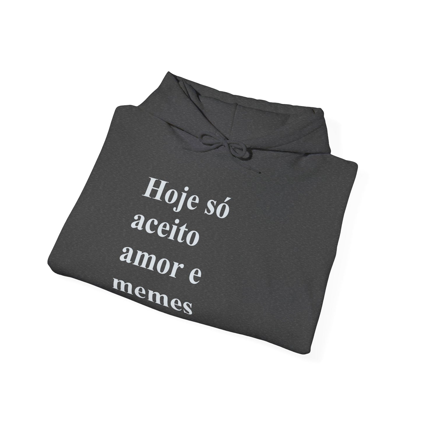Hoje Só Aceito Amor e Memes Hoodie | Brazilian Meme Sweatshirt | Funny Portuguese Quote | Gift for Brasileiras Abroad
