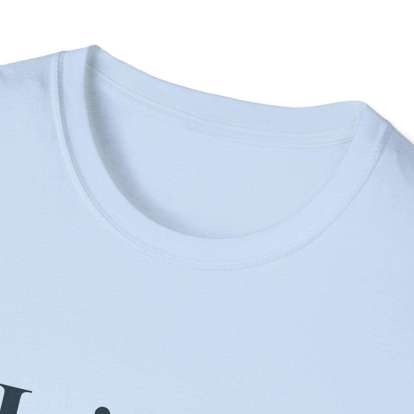 Hoje só aceito amor e memes T-shirt | Brazilian Meme Tee | Camiseta Presente Brasileira | Softstyle Comfort