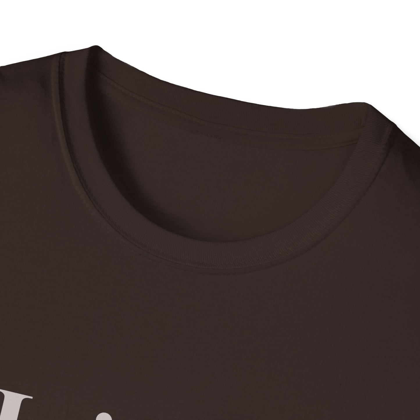 Hoje só aceito amor e memes T-shirt | Brazilian Meme Tee | Camiseta Presente Brasileira | Softstyle Comfort