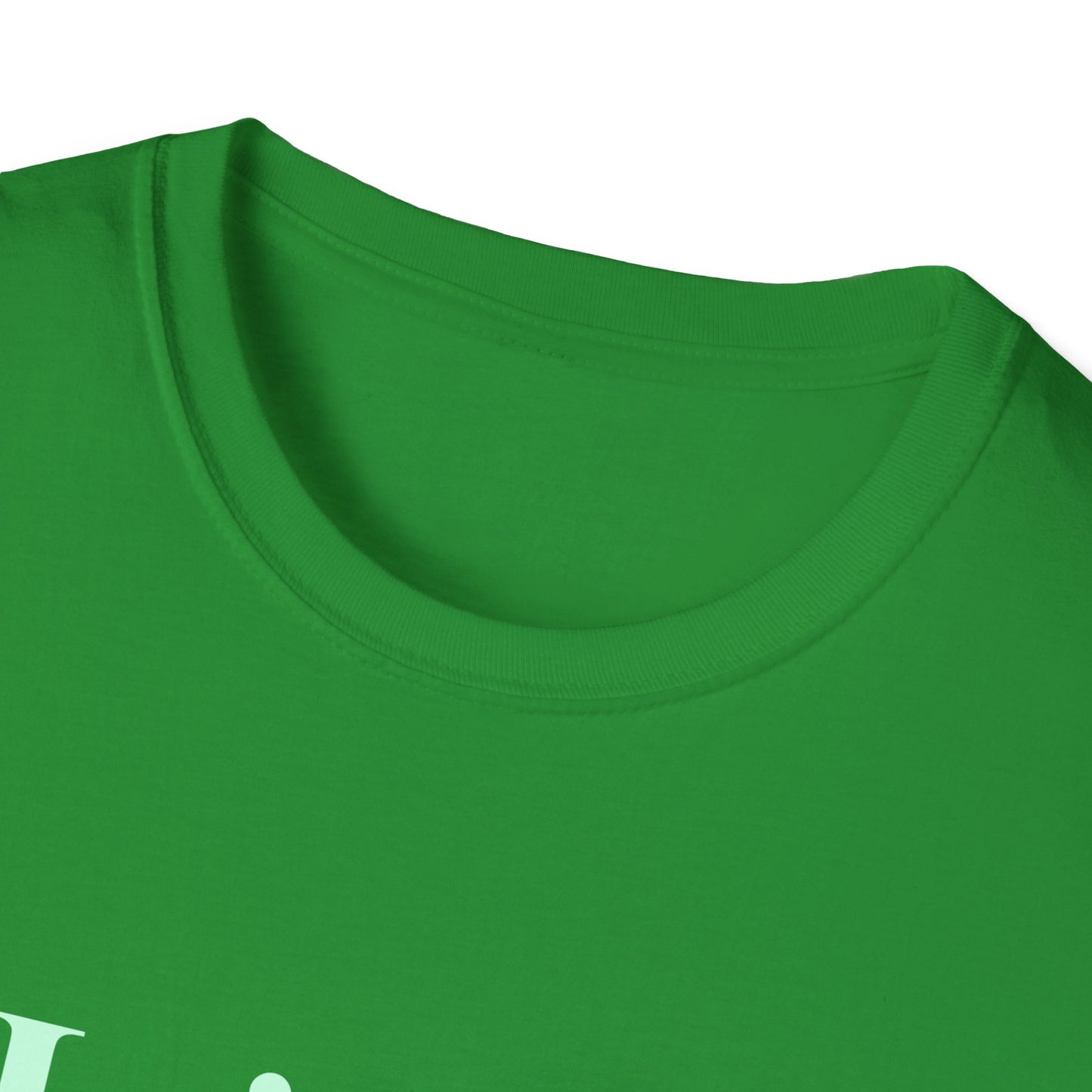 Hoje só aceito amor e memes T-shirt | Brazilian Meme Tee | Camiseta Presente Brasileira | Softstyle Comfort