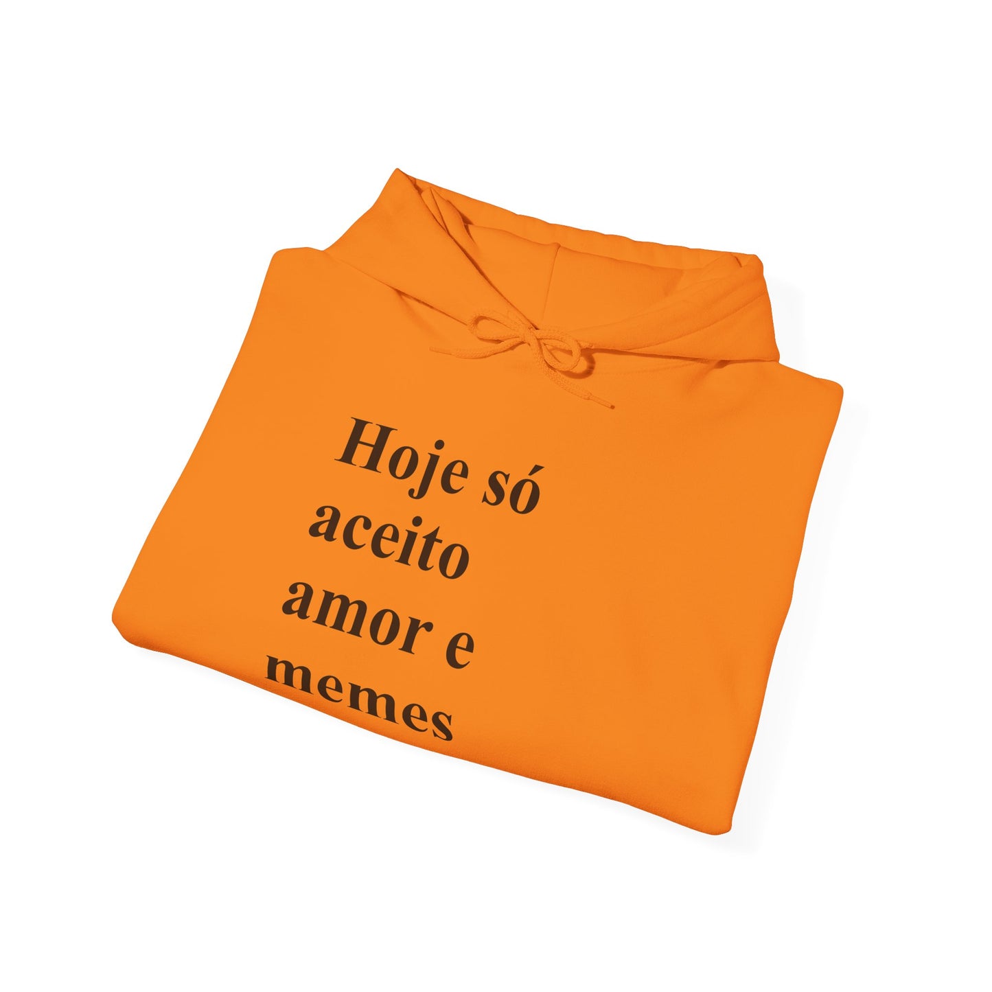 Hoje Só Aceito Amor e Memes Hoodie | Brazilian Meme Sweatshirt | Funny Portuguese Quote | Gift for Brasileiras Abroad