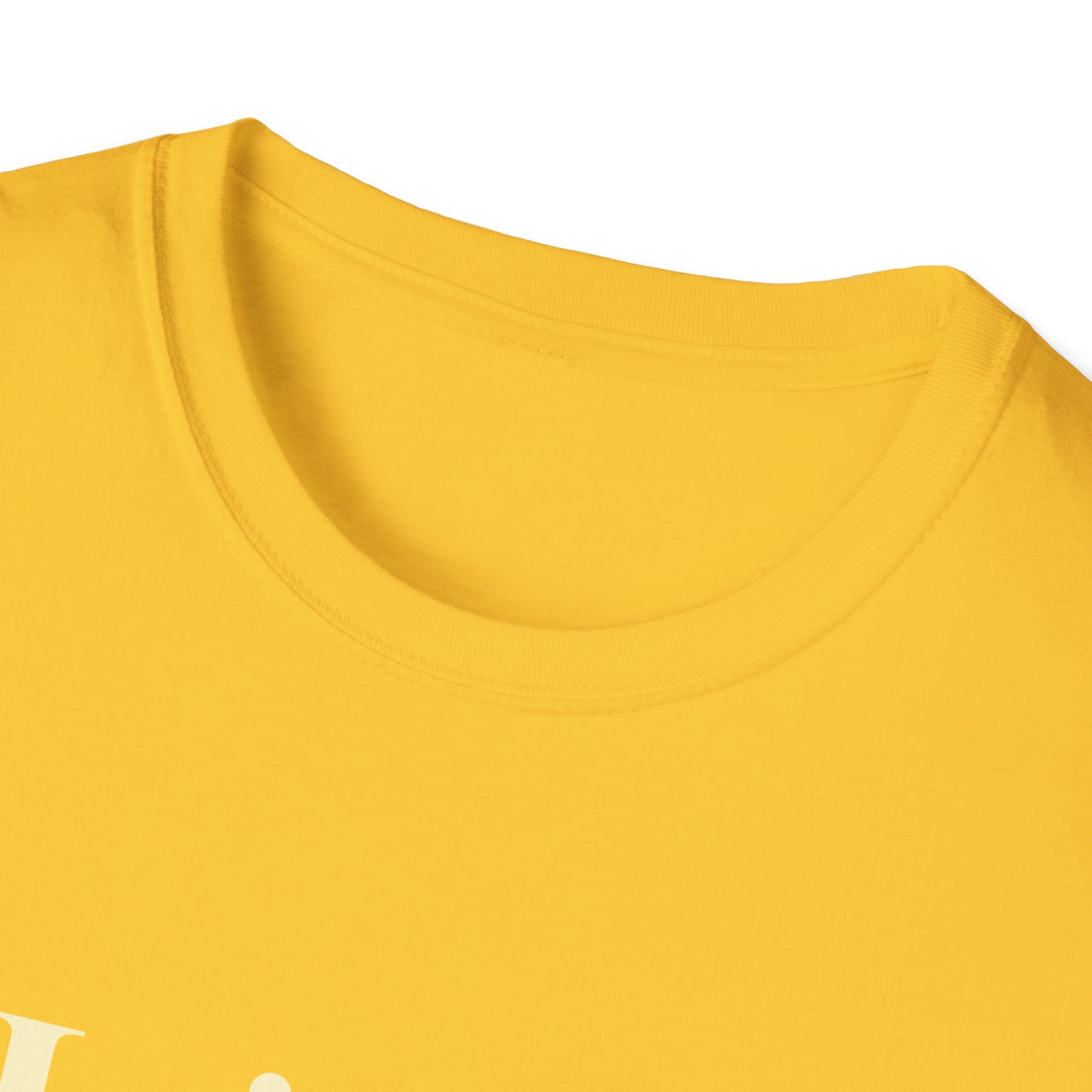 Hoje só aceito amor e memes T-shirt | Brazilian Meme Tee | Camiseta Presente Brasileira | Softstyle Comfort
