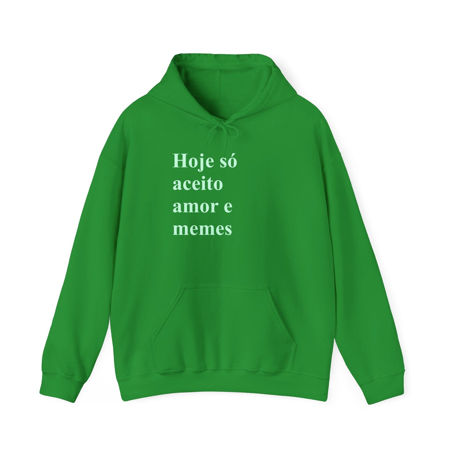 Hoje Só Aceito Amor e Memes Hoodie | Brazilian Meme Sweatshirt | Funny Portuguese Quote | Gift for Brasileiras Abroad