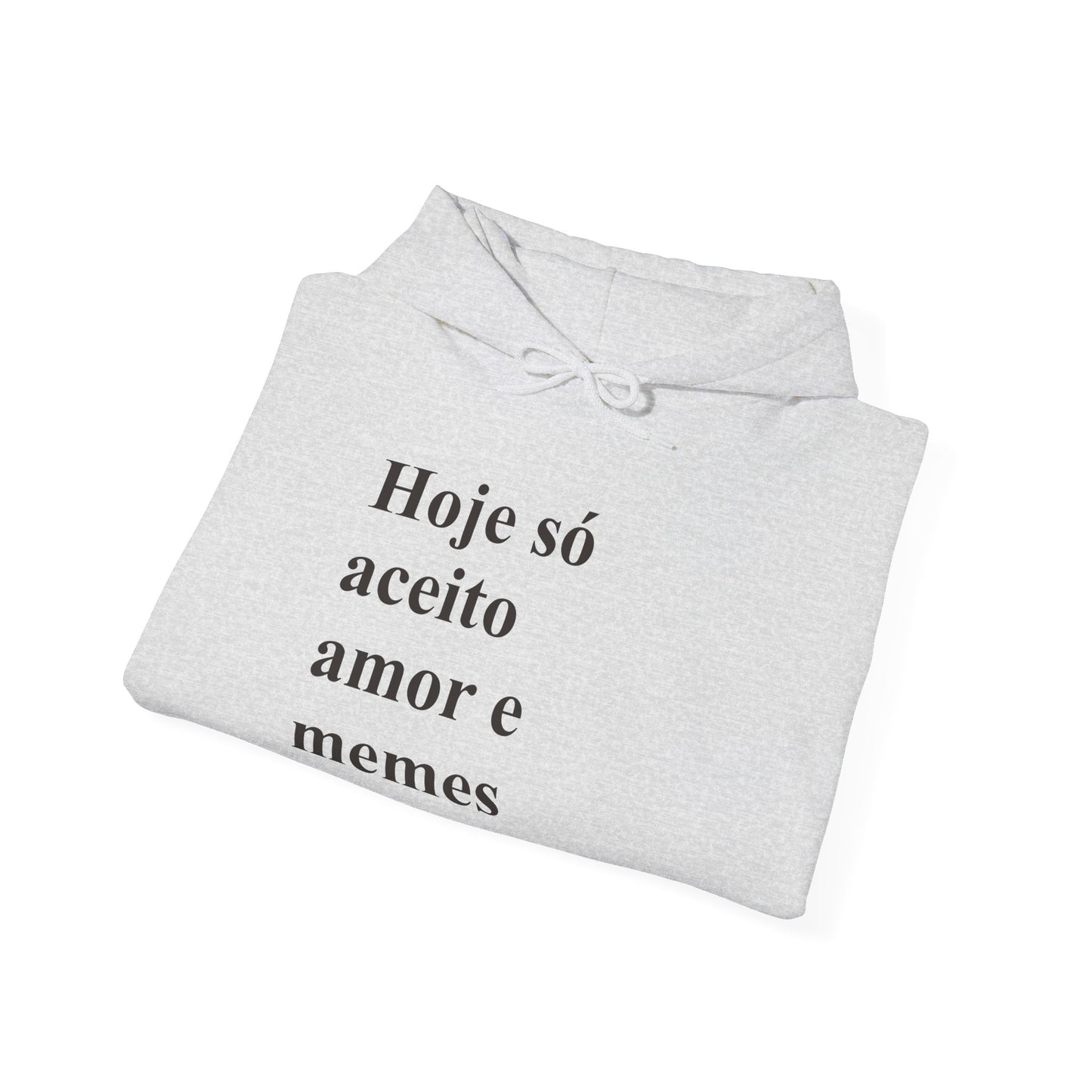 Hoje Só Aceito Amor e Memes Hoodie | Brazilian Meme Sweatshirt | Funny Portuguese Quote | Gift for Brasileiras Abroad
