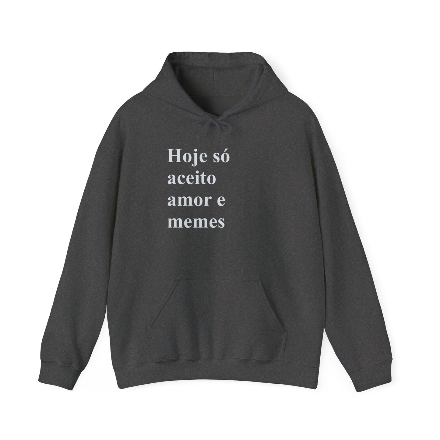 Hoje Só Aceito Amor e Memes Hoodie | Brazilian Meme Sweatshirt | Funny Portuguese Quote | Gift for Brasileiras Abroad